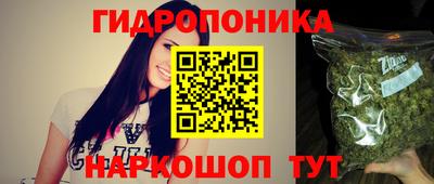 сатива Лесосибирск