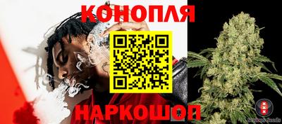 сатива Лесосибирск