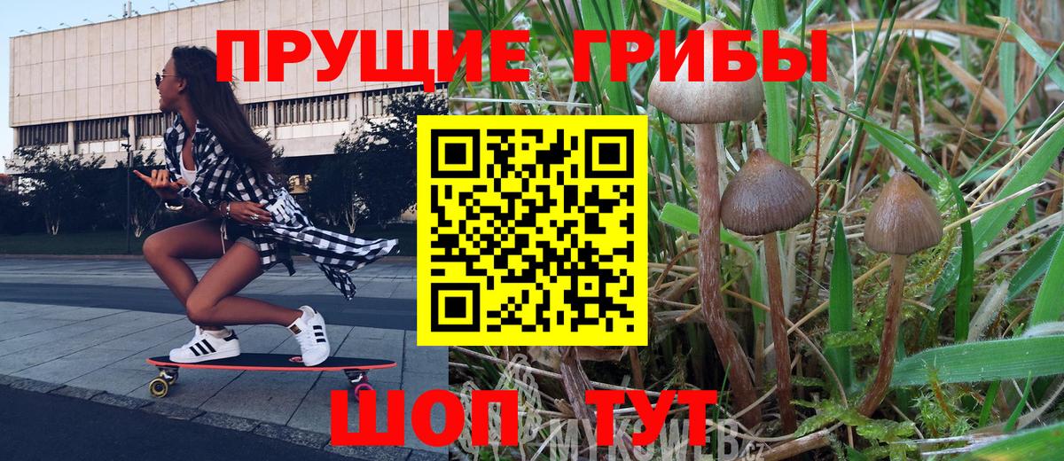 Жуковский  Псилоцибиновые грибы ЛСД  купить наркотик  Вход с VPN 
